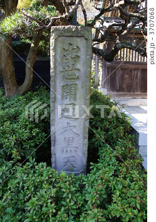 鎌倉の長谷寺 3707068