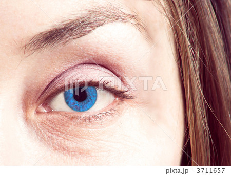 blue eye close up blue eye close up 3711657