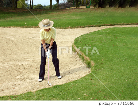 golfer in bunker 3711666