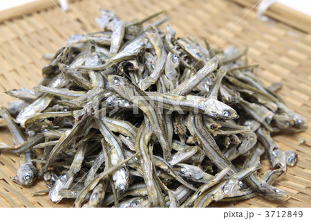 田作り　いわし 3712849