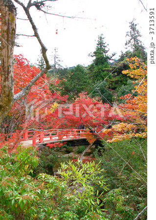 紅葉谷公園 3713591