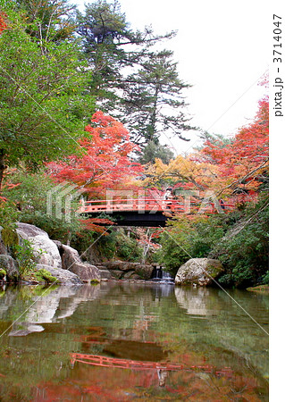 紅葉谷公園 3714047