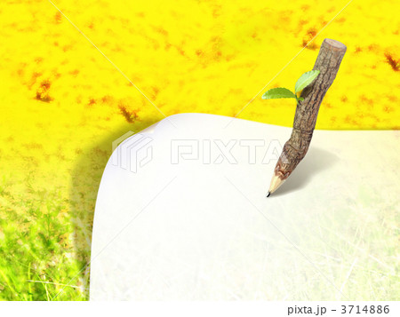 artplus_3762 3714886