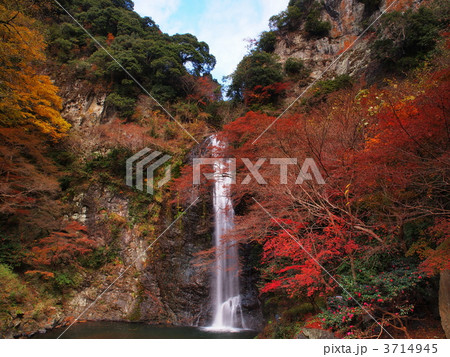 紅葉の箕面の滝 3714945