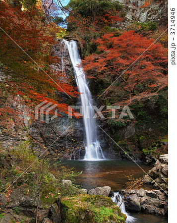 紅葉の箕面の滝 3714946