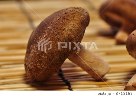 しいたけ しいたけ 3715165