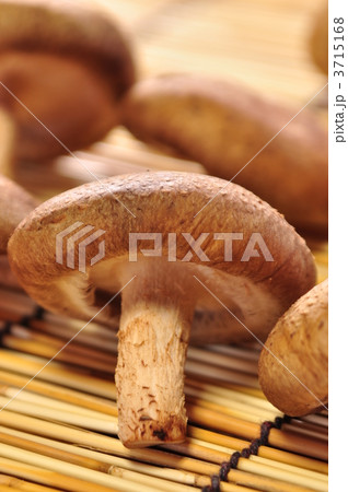 しいたけ しいたけ 3715168