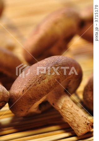 しいたけ しいたけ 3715170