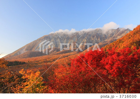 秋の夕日に輝く大山 秋の夕日に輝く大山 3716030