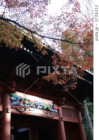 鎌倉・妙本寺 3726312