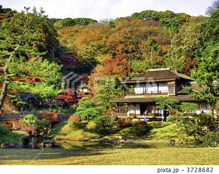 日本庭園(横浜市中区、横浜三溪園) 3728682