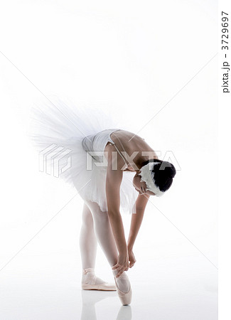 バレリーナ 3729697
