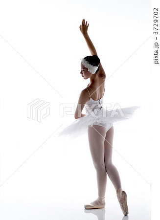 バレリーナ 3729702