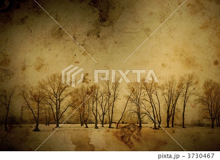 vintage winter vintage winter 3730467