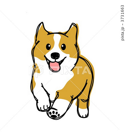 犬 コーギー イラストのイラスト素材 3731663 Pixta