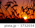 ほっとするね・・・ 3732034