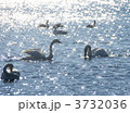 いざ　シベリアへ 3732036