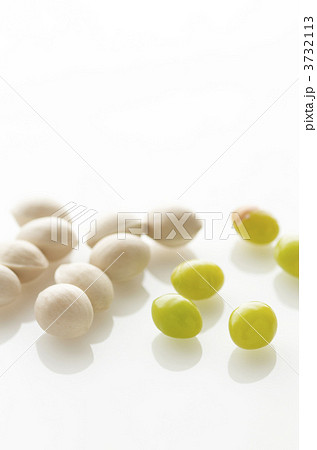 翡翠色の銀杏 3732113