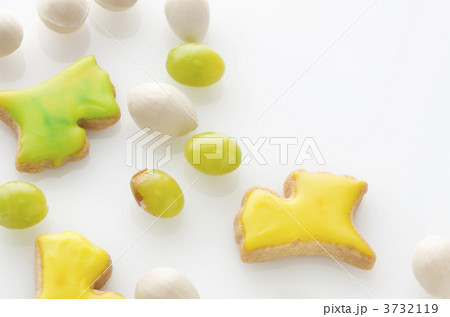 秋色のクッキーと銀杏 3732119