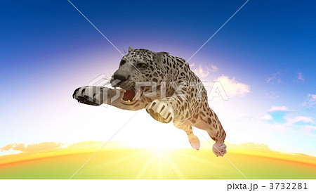 ユキヒョウ ヒョウ 陸上動物のイラスト素材