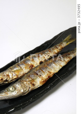 焼魚　かます 3732495