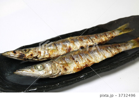 焼魚　かます 3732496