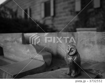 ふれあいの泉 3732552