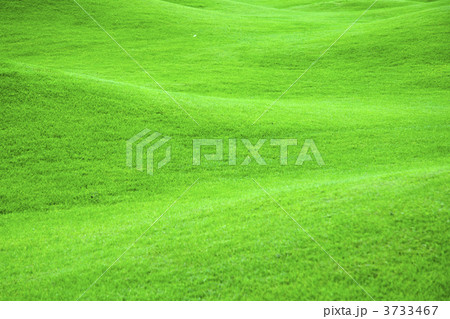 Green pastures 2 Green pastures 2 3733467