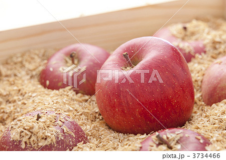 りんご りんご 3734466