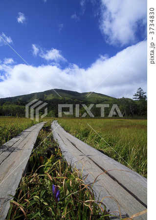 尾瀬の木道と至仏山1 尾瀬の木道と至仏山1 3734830