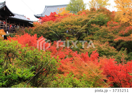 京都東福寺の通天橋の紅葉 京都東福寺の通天橋の紅葉 3735251