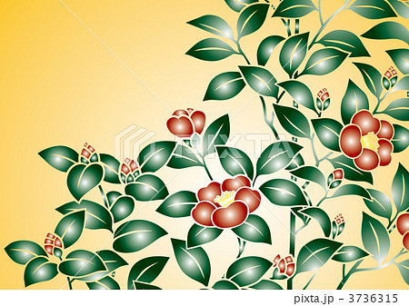 寒椿 文様 かんつばきのイラスト素材