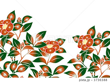 寒椿 文様 かんつばきのイラスト素材