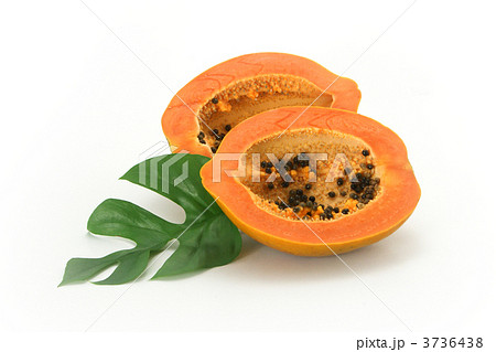 フルーツパパイヤとモンステラ 3736438