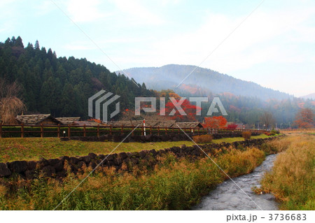紅葉の朝倉遺跡唐門と復元町並み 3736683