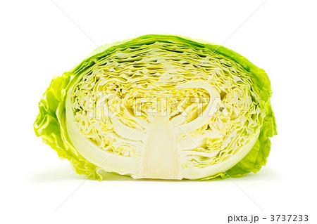 キャベツ 半分 キャベツ 半分 3737233