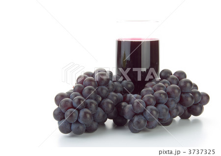 スチューベングレープ 3737325