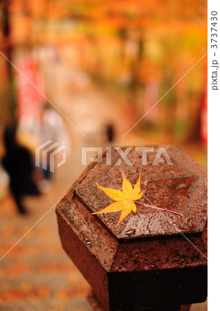 山門にて 3737430