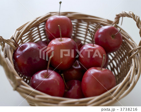 カゴ入りアルプス乙女 3738216