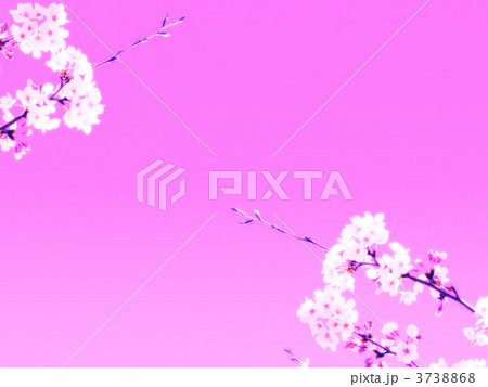 桜背景素材 桜背景素材 3738868