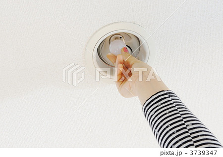 電球交換 3739347