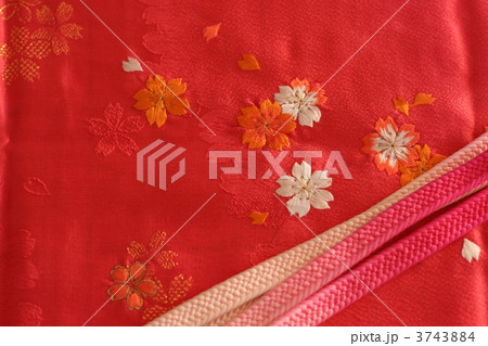 半襟　帯締め 3743884