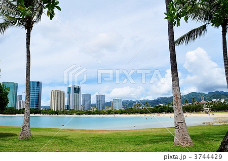 ハワイの休日 3744429