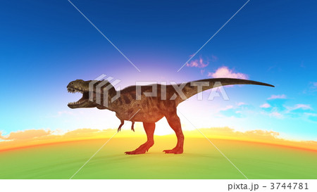 3744781