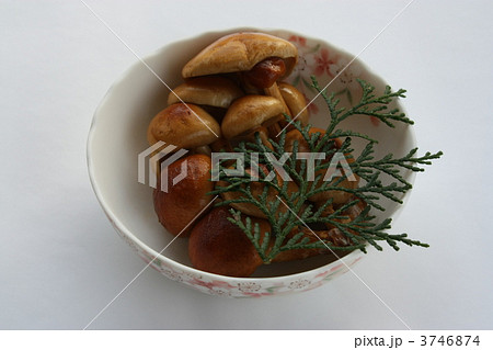 なめたけ 3746874