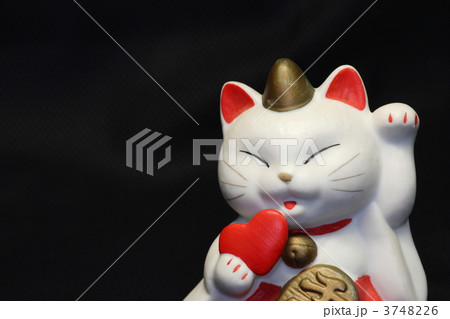 【まねき猫】 3748226