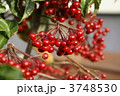 3748530
