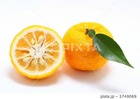 柚子 3749069