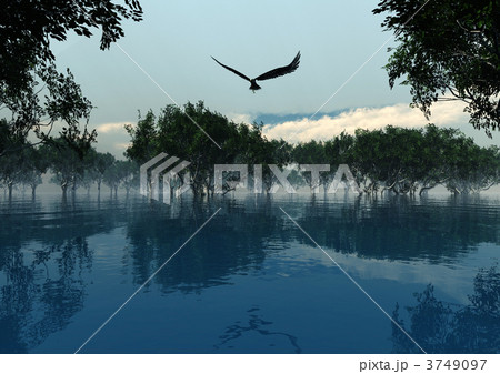 幻想世界「遭遇」 3749097