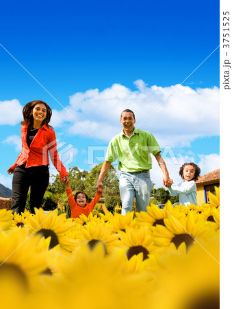 Family in a field of sunflowers 3751525